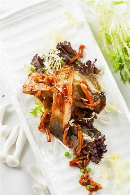 它是菇中之王，3000一斤都不算貴！