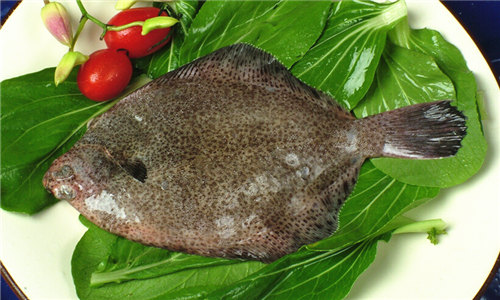多寶魚1.jpg