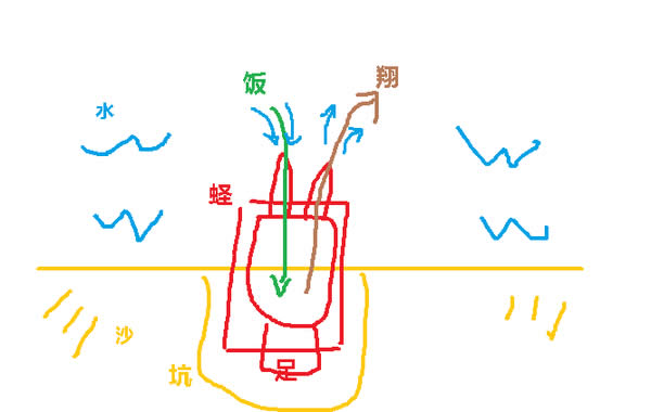 這些帶殼的家伙，你都分得清嗎？