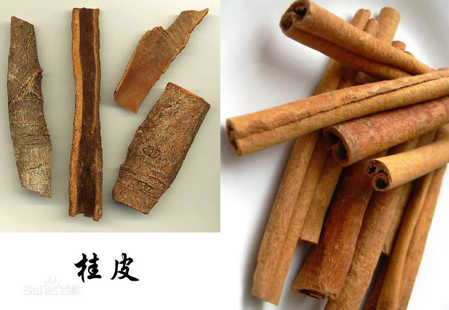 【桂皮】最早被人類使用的香料之一