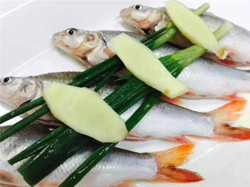 這種鯽魚，有錢都買不到！