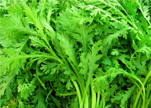 【茼蒿】宮廷佳肴——皇帝菜的做法和營養(yǎng)價值