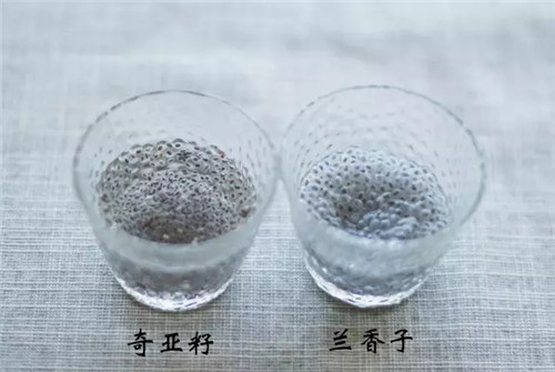 它集營養物質、瘦身功能于一體，不用來做菜就可惜！
