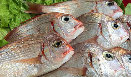 【赤鯮】能防過敏的珍貴海魚——赤鯮的做法及營養功效