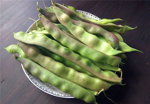 東北有種豆角叫“兔子翻白眼”，比普通豆角貴5倍……