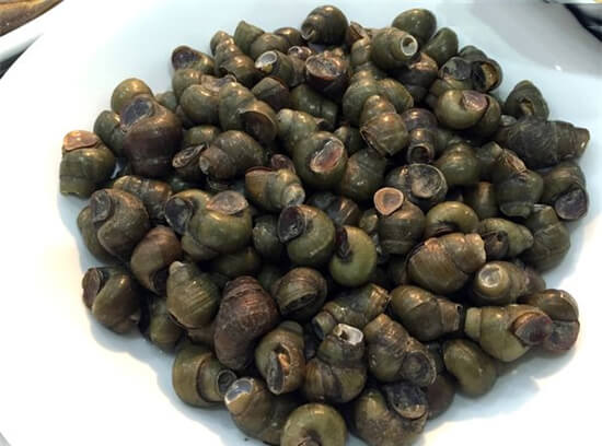 【河鮮】河鮮正是三月好，有哪些淡水河鮮值得出品呢？