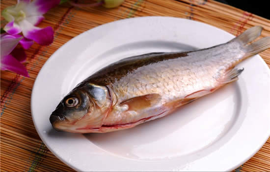 【鯽魚】五月鯽魚甜——鯽魚
