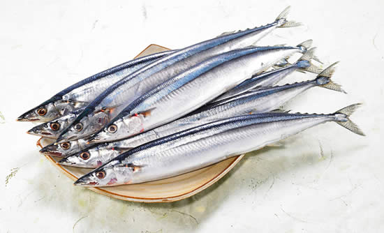 【秋刀魚】初戀的滋味——秋刀魚