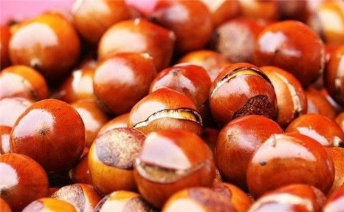 【栗子】秋風(fēng)起，香甜栗子吸引八方食客