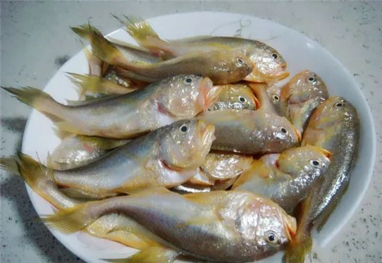 這種小魚，為什么會引爆食客？