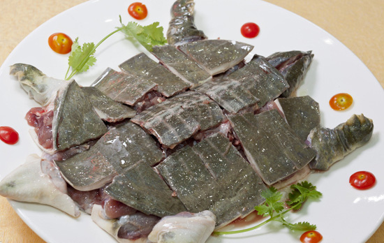 甲魚的營養價值