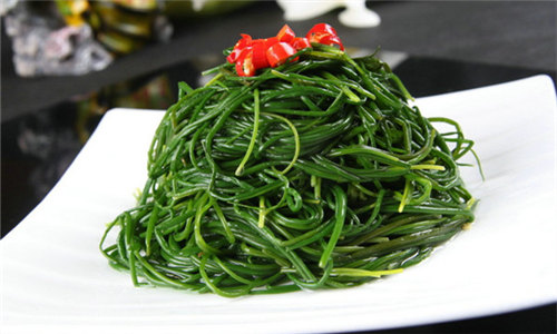 【沙蔥】天賜草原的“菜中靈芝”