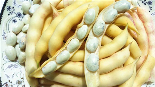 東北有種豆角叫“兔子翻白眼”，比普通豆角貴5倍……