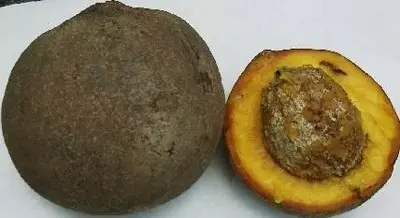 28種奇異果子，認(rèn)識(shí)一半算你牛X！