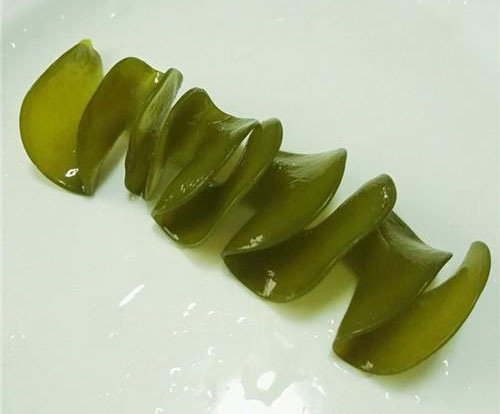 海靈芝