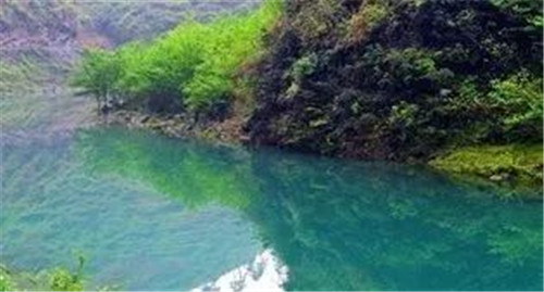【來鳳魚】11代傳承，成就最美味的非物質(zhì)文化遺產(chǎn)