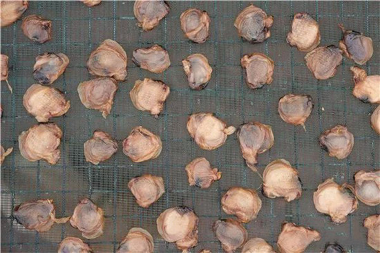 夏季研發新菜，不用這三種河鮮就走寶了！