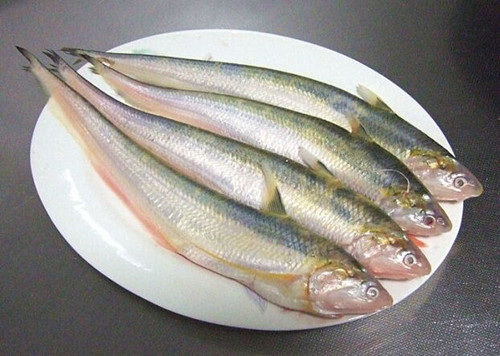 江刀、海刀、明前刀……原來刀魚還可以這樣分！