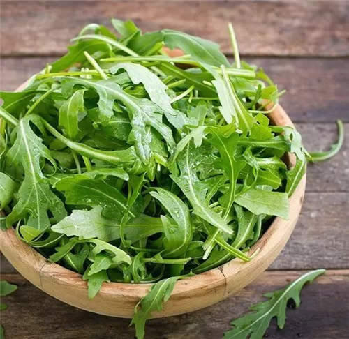 綠葉蔬菜里的戰斗機——火箭生菜