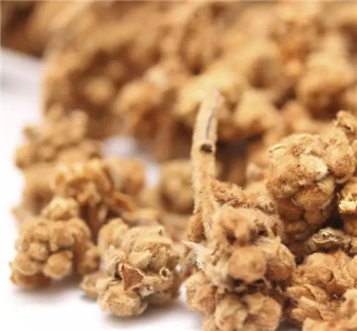 這種潤肺化痰的食材，老火湯最適用！