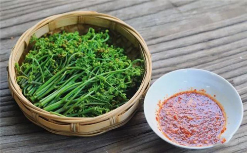 蕨菜有毒不敢用？看完這篇文章全明白了！