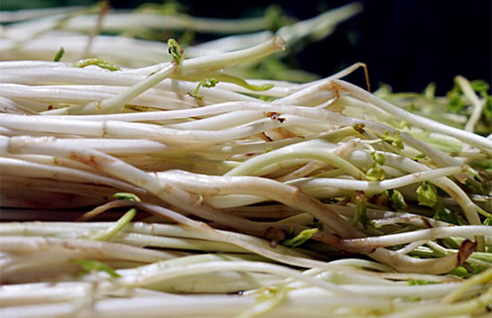 【白芹】溧陽“三白”之一——白芹的吃法