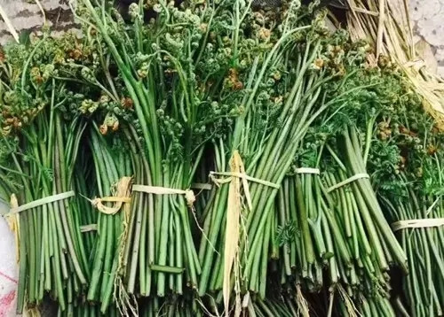 【滇菜】獨(dú)龍秘制水蕨菜