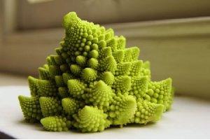 長得像金字塔的花椰菜，你見過嗎？