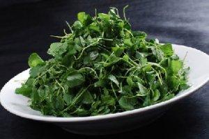 餐桌上的動物草料