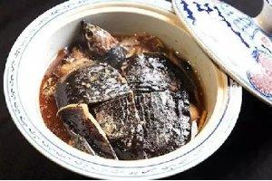 旱蒸甲魚