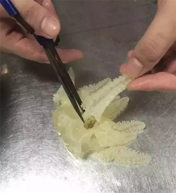 【熱賣菜】酥米堂烹珊瑚蜇