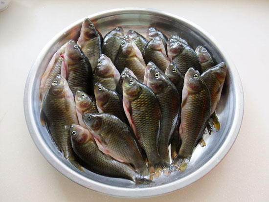 禾花魚