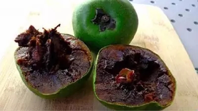 28種奇異果子，認(rèn)識(shí)一半算你牛X！