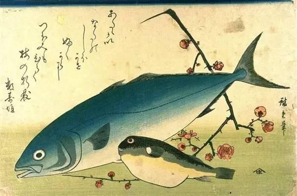 鰤魚，沖擊靈魂的頂級食材