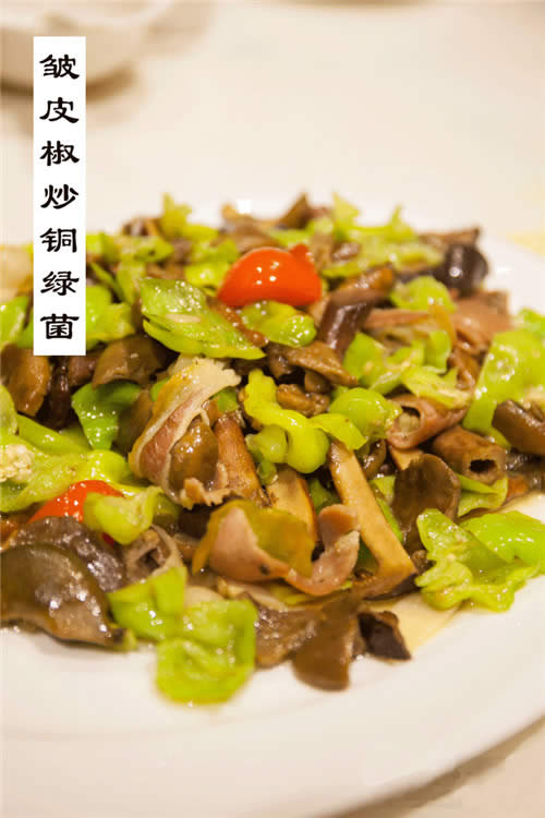 這種菌清新脫俗，大眾最愛，悄然流行中！