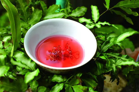 紅雪茶怎么喝