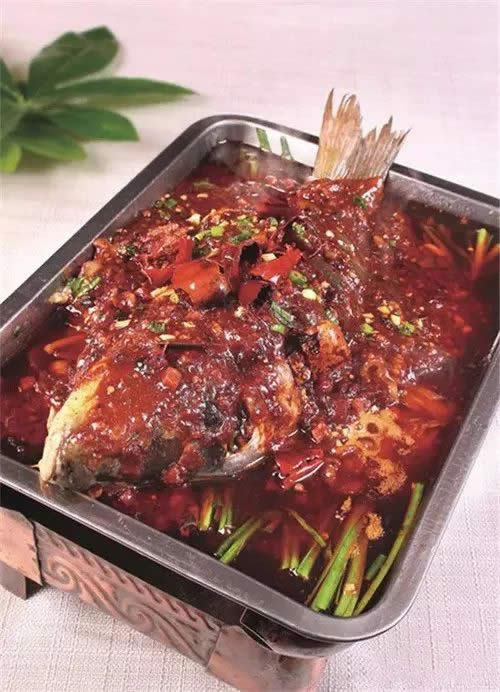 【三道鱗】一種肉質肥厚的“舶來”鯉魚