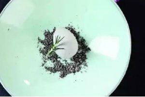 土豆墨魚汁水泥石頭