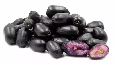 28種奇異果子，認(rèn)識(shí)一半算你牛X！