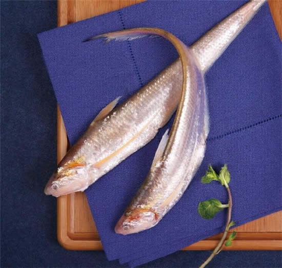 【刀魚】春季最早的時(shí)令鮮魚，也是當(dāng)今國內(nèi)的天價(jià)魚