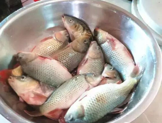 禾花魚的營養功效