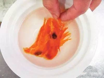 珍藏版燕窩知識大全，大廚必備！