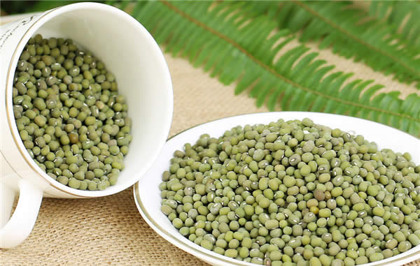 【綠豆】夏季清熱解暑的高手——綠豆