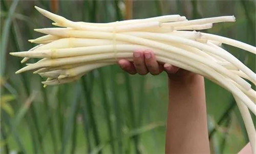 夏季制作時令菜，怎能少了它？