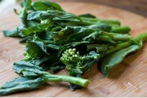 素食者的心頭愛——芥藍