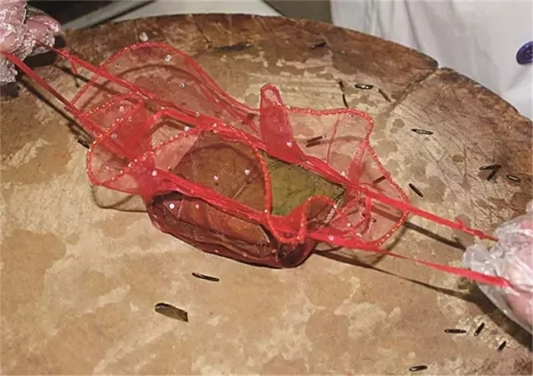 【年菜】迎春接福（荷葉蒸粽子鮑魚）