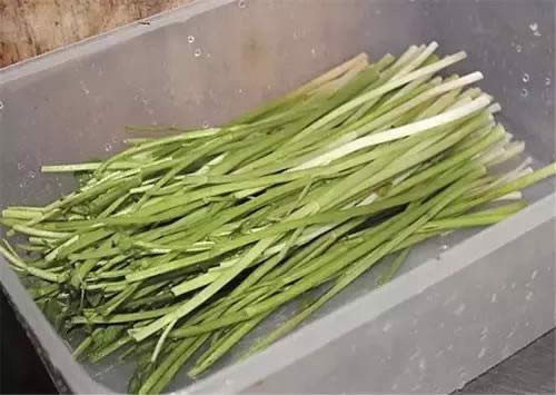 【創新菜】水芹炒煎釀沙尖