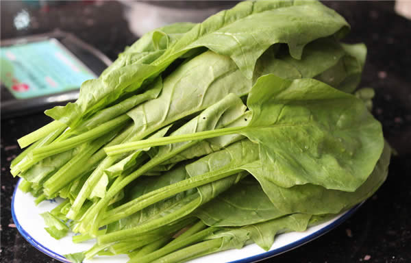 【菠菜】菠菜里的寶，你們知多少？——菠菜