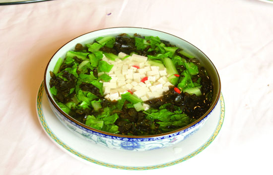 【地皮菜】美味又營(yíng)養(yǎng)的野生菜——地皮菜