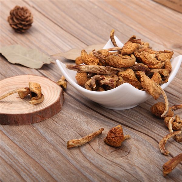 【滑子菇】好吃又美味的珍稀品種——滑子菇